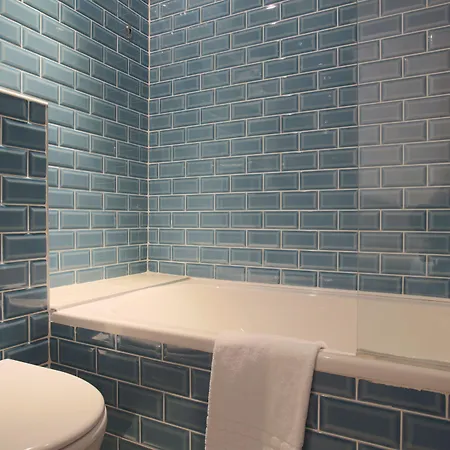 ホテル グラン デュ ロワレ 3*