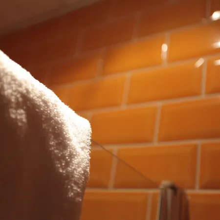 グラン デュ ロワレ 3* パリ