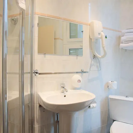 ホテル グラン デュ ロワレ 3*