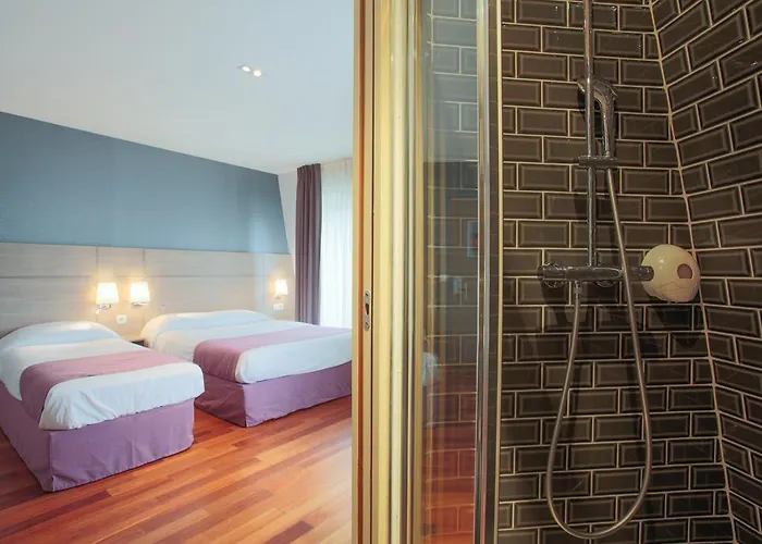 Hotel Grand Du Loiret 3*