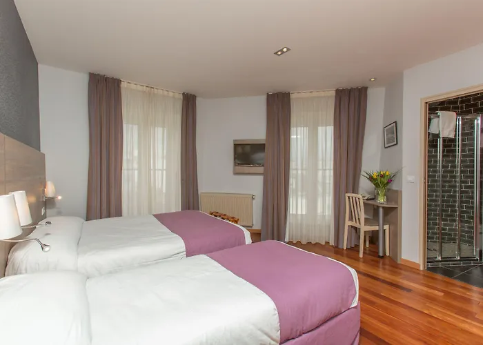 Hotel Grand Du Loiret