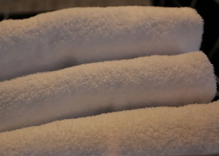 Hotel Grand Du Loiret Paris