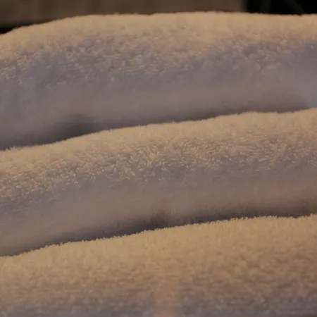 Отель Grand Du Loiret